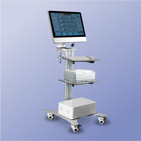 �����Թ��ܼ���ǣ�Ѫ�������ռ���ǣ�