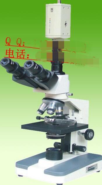 һ��Ѫ�����