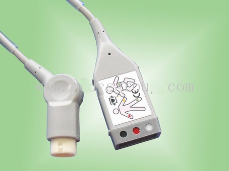 �������ĵ����