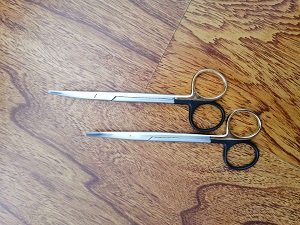 ��ϸ��֯�� �޶Ʋ㲻��ֳ�������̼��������