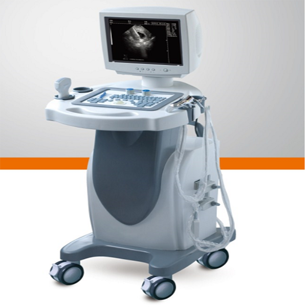 BLS-700B �����������ƹ�ǻ�����Ǳ���˹