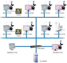 ����Ӱ������ϵͳ