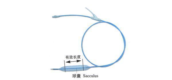 �������ŵ���