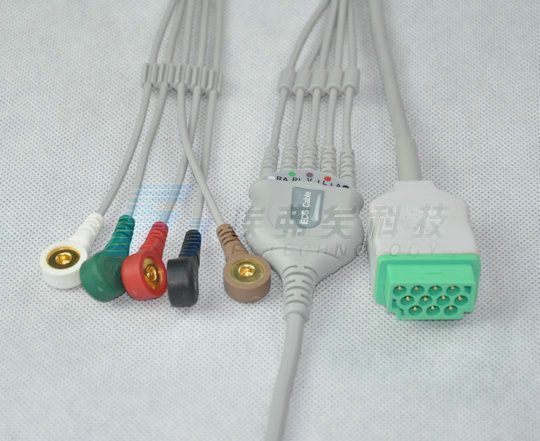 GE �ĵ�һ���嵼����