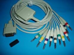 ϯ���ĵ�ͼ��������