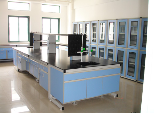 ȫ��ʵ����