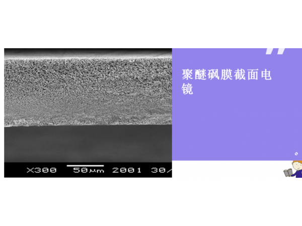 聚醚砜膜 一次性使用精密药液过滤器